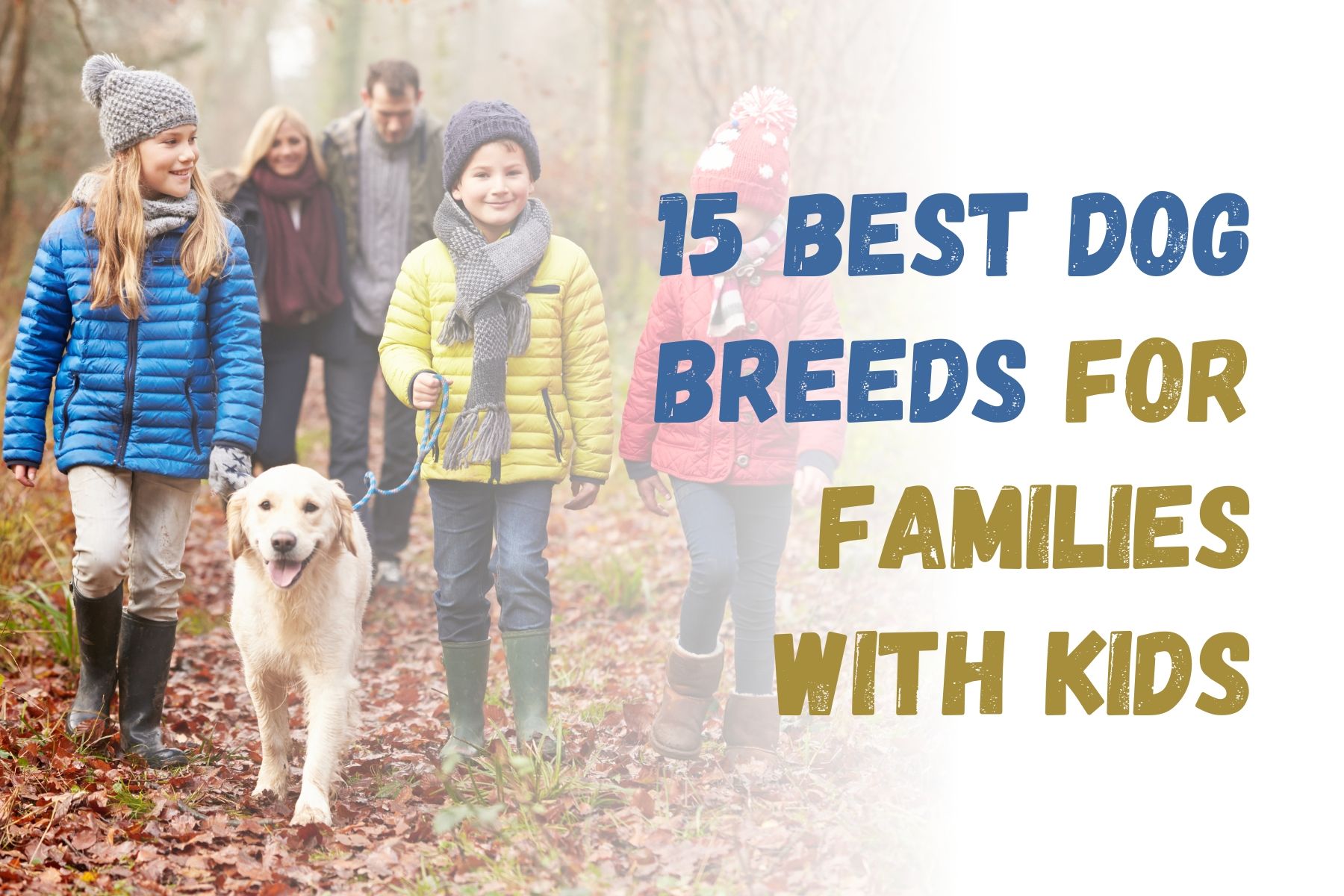 Top 15 Family-Friendly Dog Breeds for Households with Children