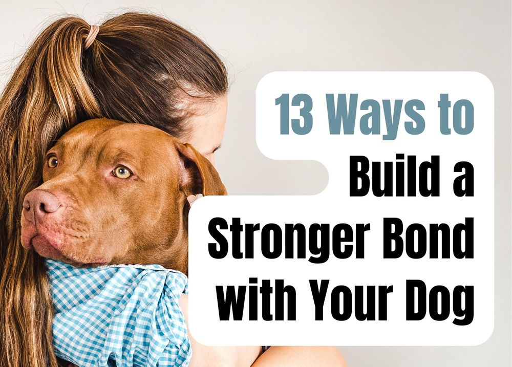 13 Ways to Bond With Your Dog and Strengthen Your Relationship