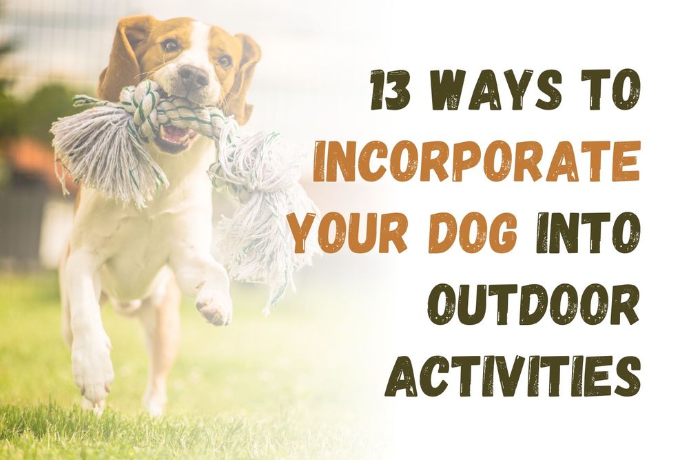 13 Ways to Incorporate Your Dog Into Outdoor Activities