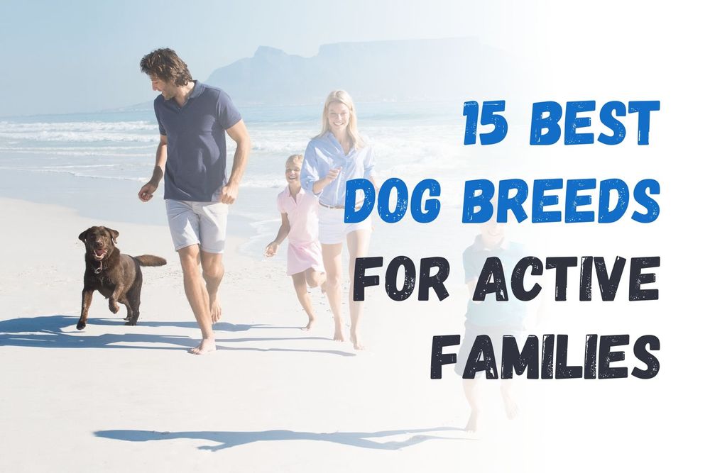 15 Best Dog Breeds For Active Families