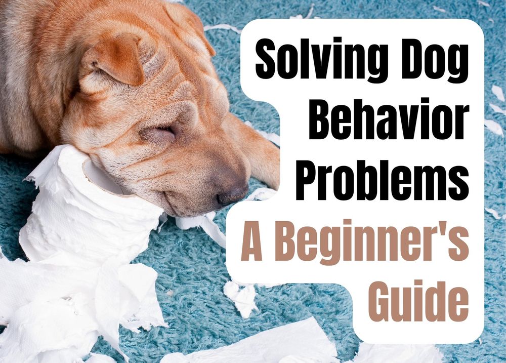 Solving Dog Behavior Problems: A Beginner's Guide.