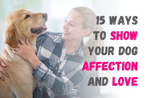 15 Ways to Show Your Dog Affection and Love