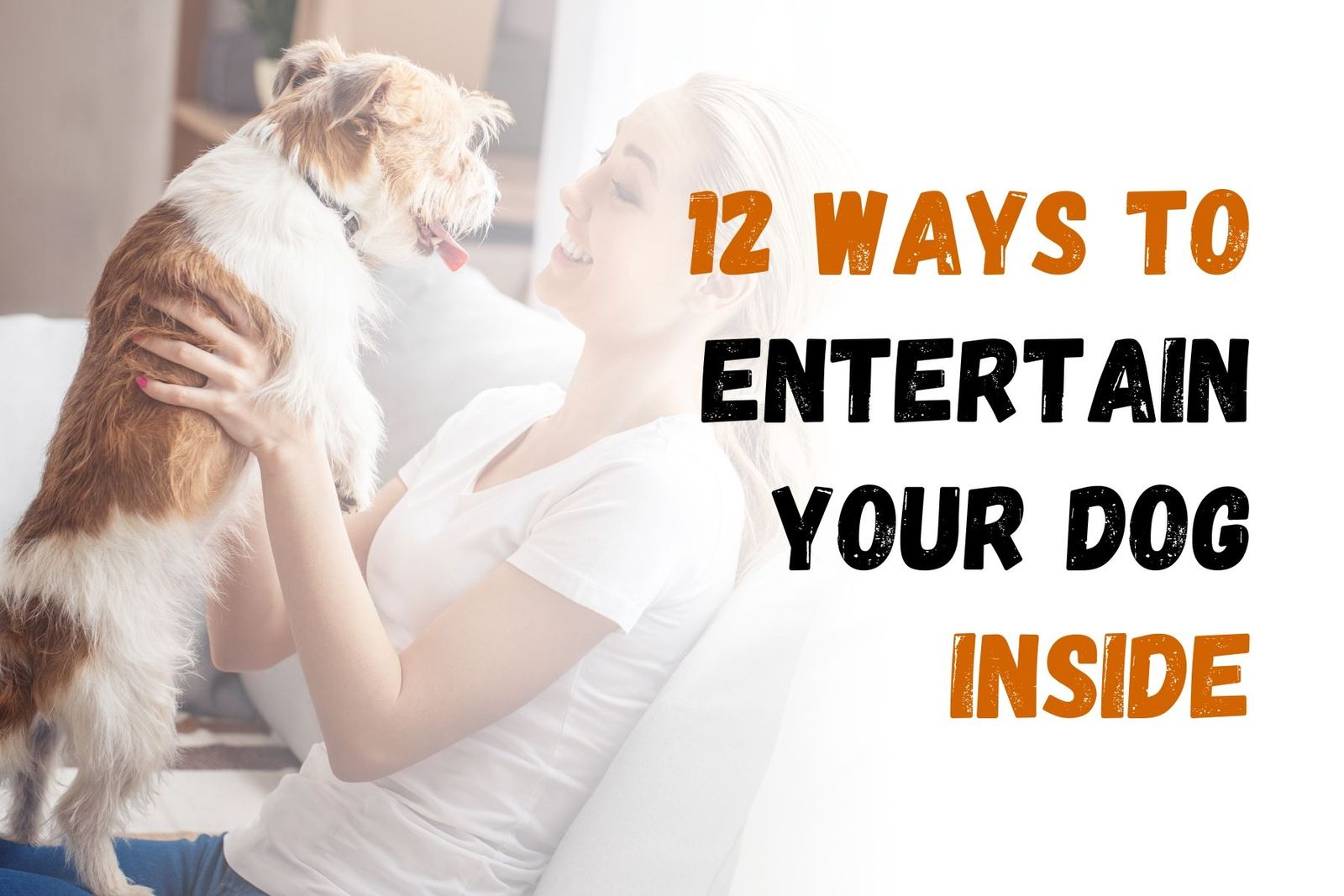 How to Keep Your Dog Busy and Happy Inside Your Home