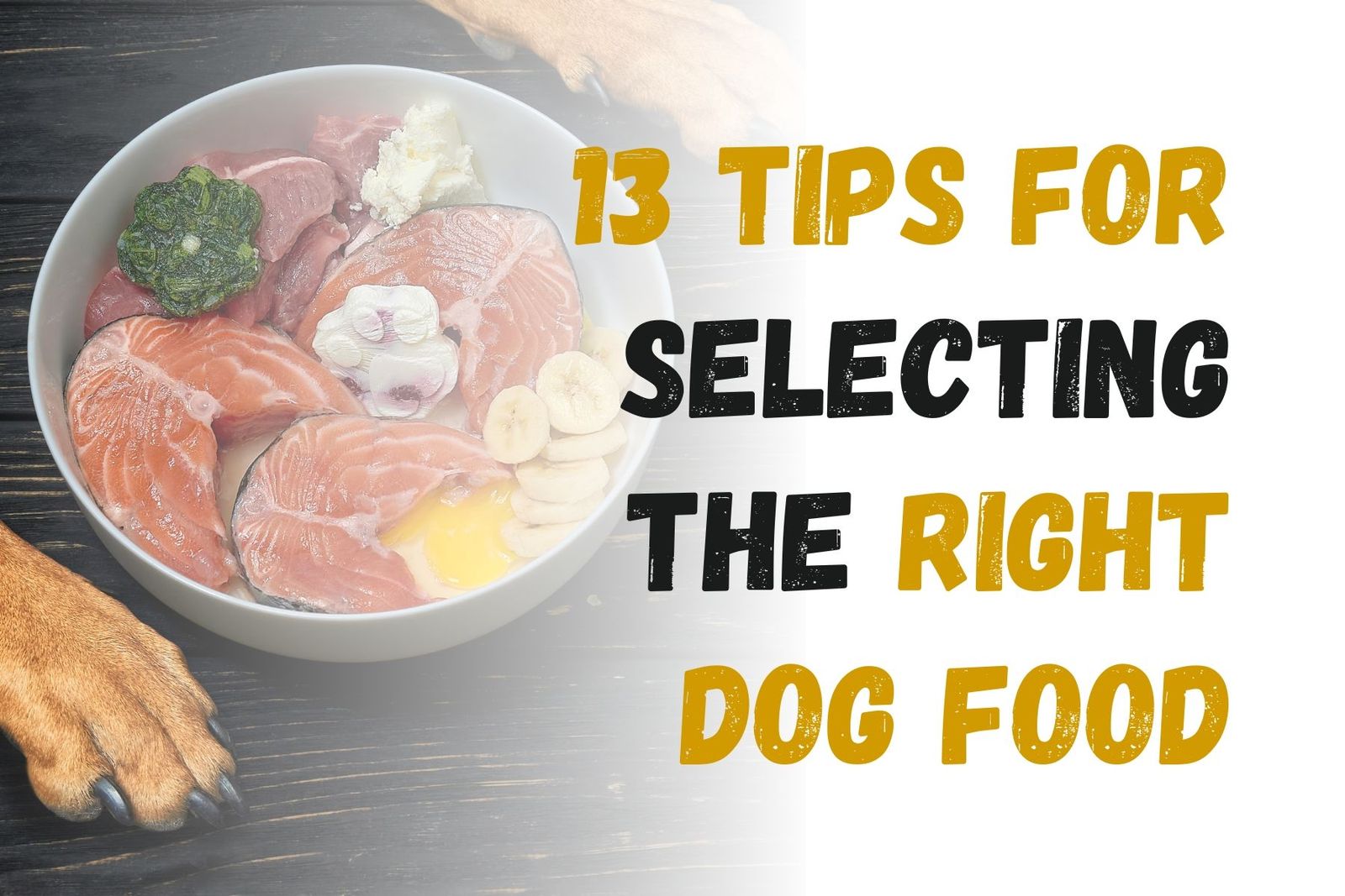 How to Choose the Best Dog Food 13 Essential Tips