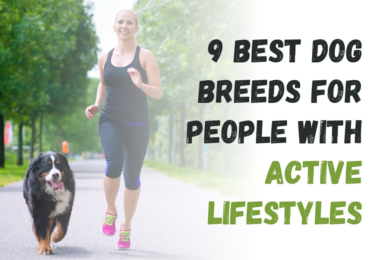 Top 9 Dog Breeds Ideal for Active Owners